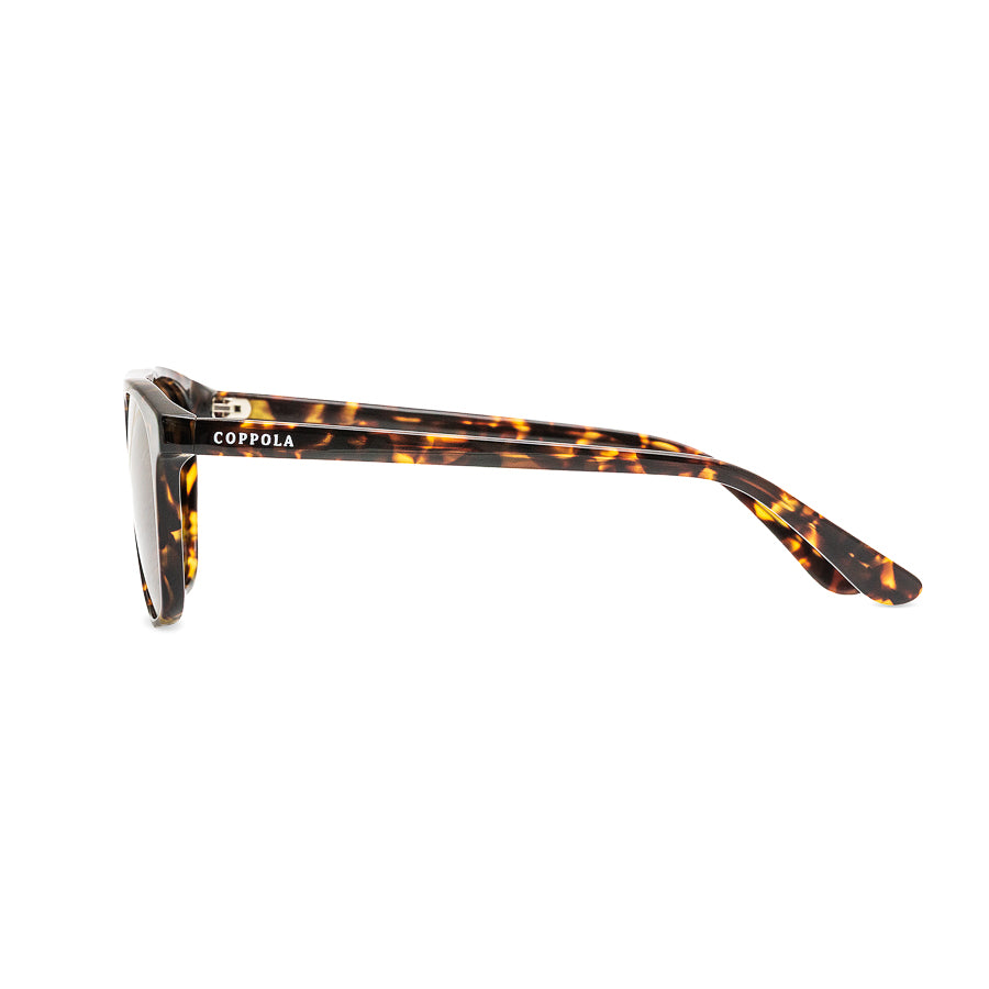 Coppola Terra – Gafas de Sol Hombre – Edición Limitada